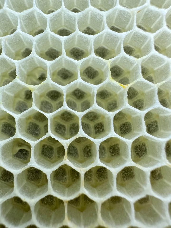 🐝💛 A little look inside the amazing world of our honey bees. 💛🐝 Just look…