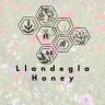 Llandegla Honey