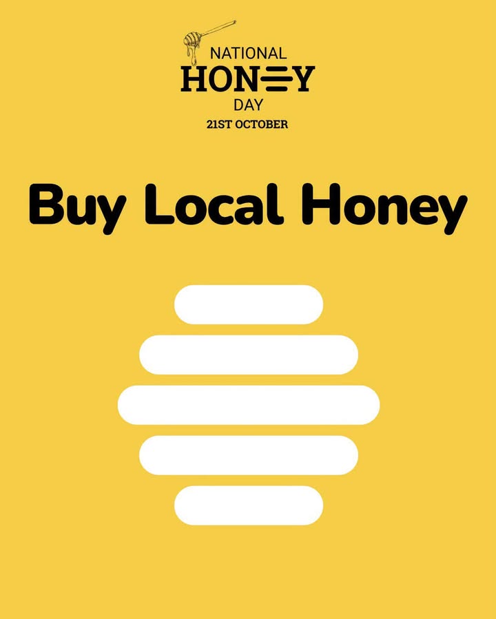 🍯 HAPPY NATIONAL HONEY DAY! 🍯 Today we’re celebrating our amazing honey bees and the…