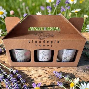 Experience the Taste of the Welsh Seasons with Our Llandegla Honey Gift Pack